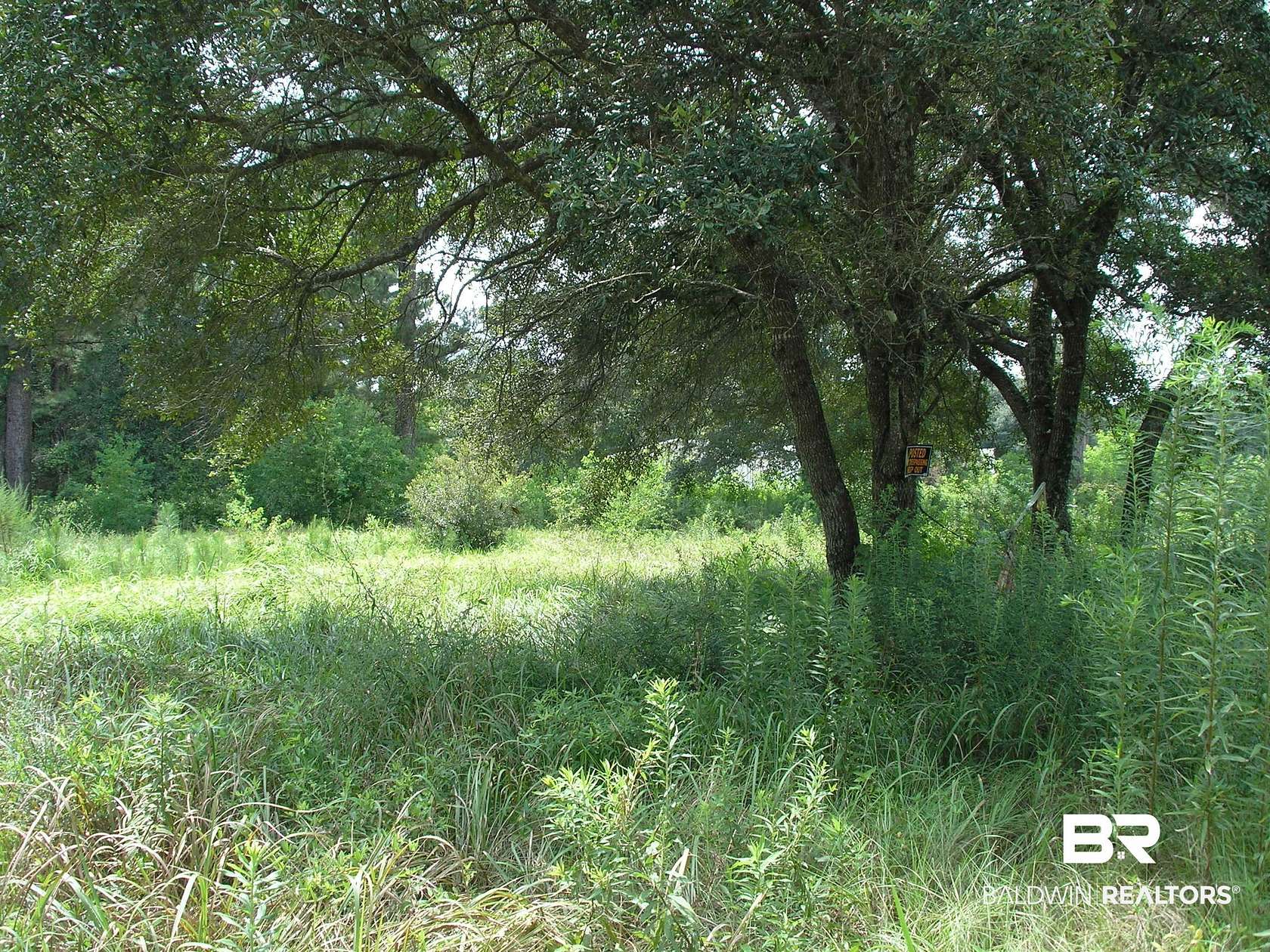 1 Acre of Land for Sale in Irvington, Alabama
