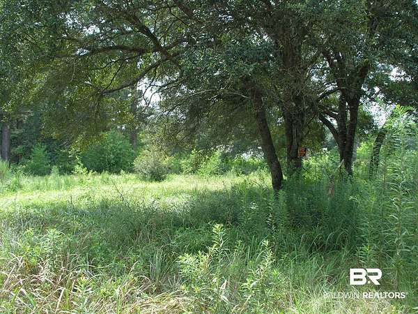 1 Acre of Land for Sale in Irvington, Alabama