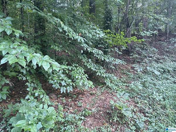 1 Acre of Residential Land for Sale in Tuscaloosa, Alabama