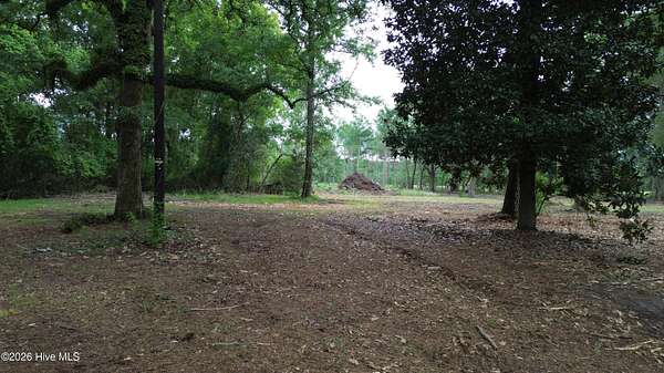 1 Acre of Residential Land for Sale in Laurinburg, North Carolina