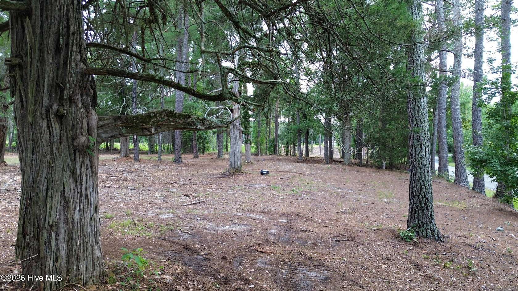 1 Acre of Residential Land for Sale in Laurinburg, North Carolina