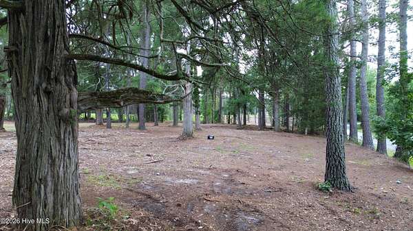 1 Acre of Residential Land for Sale in Laurinburg, North Carolina