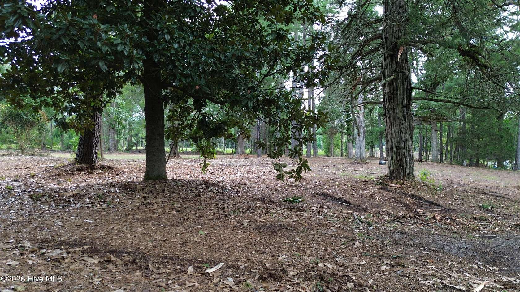 1.36 Acres of Residential Land for Sale in Laurinburg, North Carolina