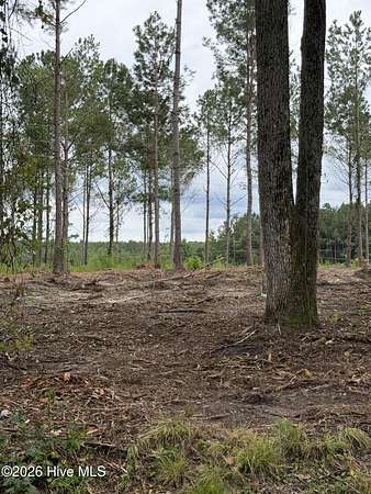 1.85 Acres of Residential Land for Sale in Laurinburg, North Carolina