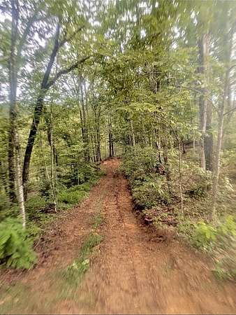 19 Acres of Recreational & Residential Land for Sale in McKee, Kentucky