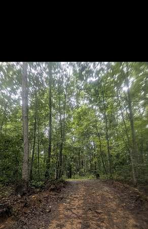 21 Acres of Recreational & Residential Land for Sale in McKee, Kentucky