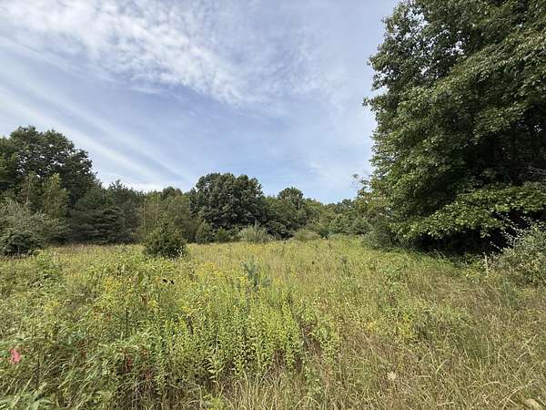1.23 Acres of Residential Land for Sale in Sawyer, Michigan