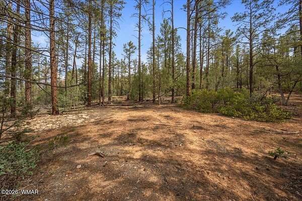 3.75 Acres of Residential Land for Sale in Show Low, Arizona