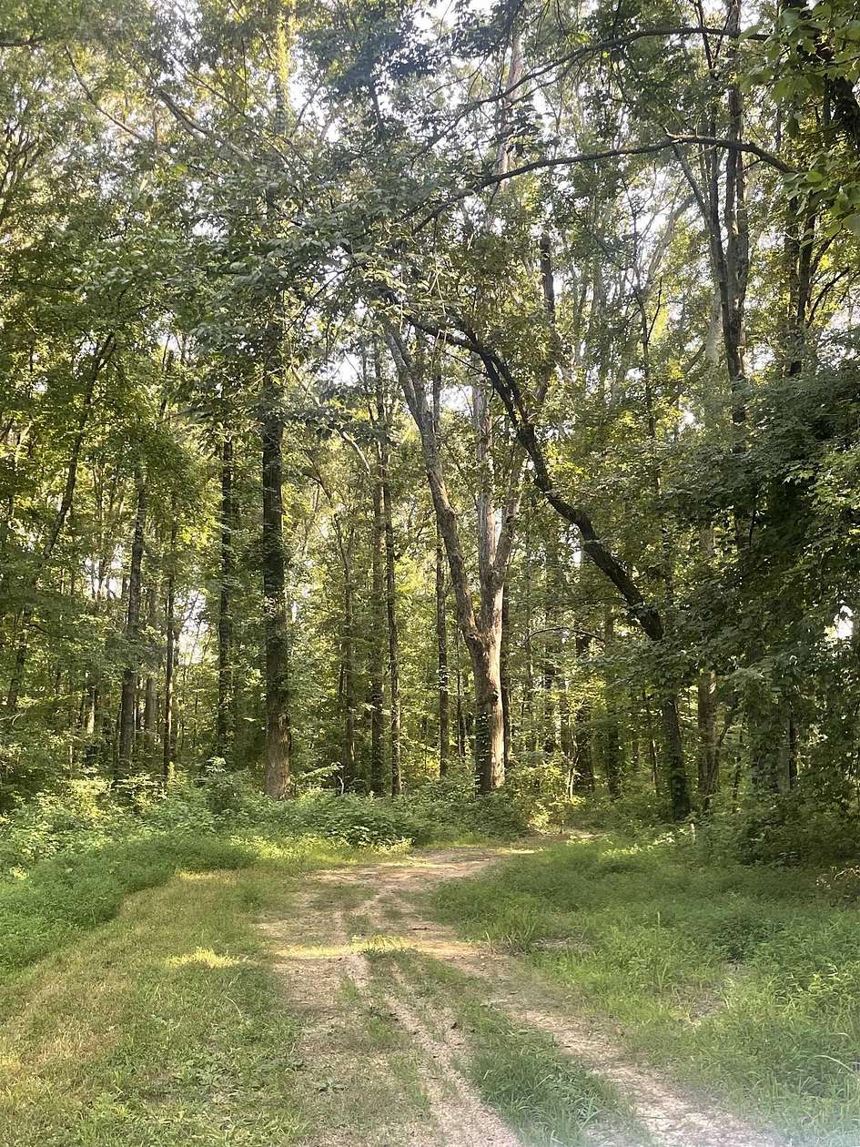 6 Acres of Land for Sale in Cabot, Arkansas