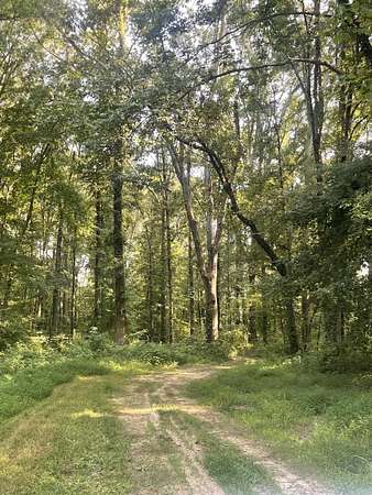 6 Acres of Land for Sale in Cabot, Arkansas