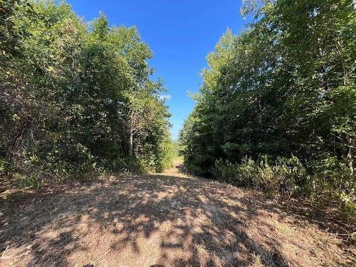 12 Acres of Recreational & Residential Land for Sale in Mount Enterprise, Texas