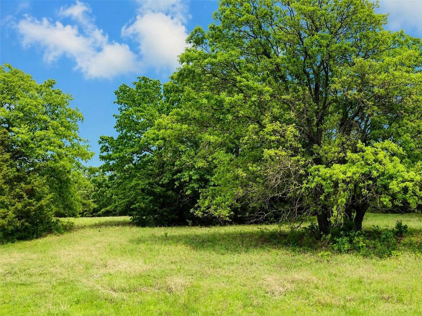 12 Acres of Land for Sale in Sunset, Texas