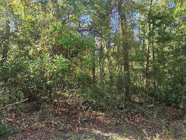 5.12 Acres of Residential Land for Sale in Fort White, Florida