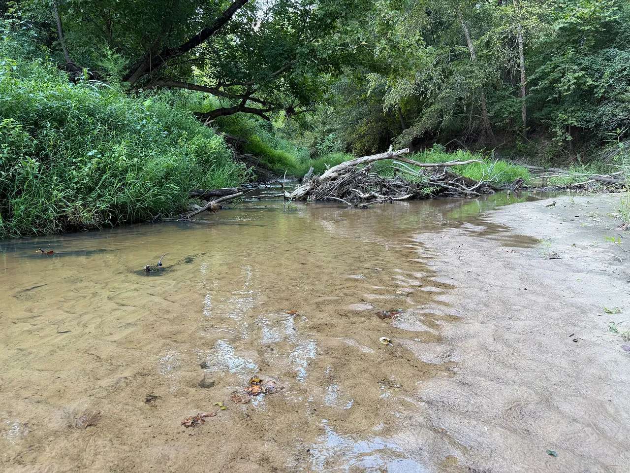 72 Acres of Recreational Land for Sale in Holcomb, Mississippi