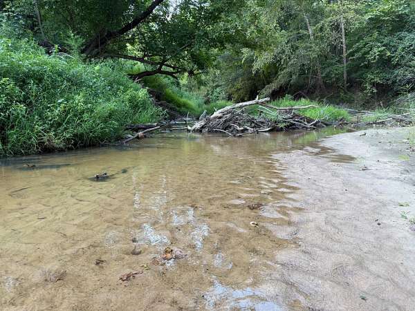 72 Acres of Recreational Land for Sale in Holcomb, Mississippi