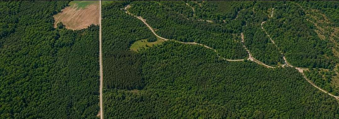 29.4 Acres of Recreational & Residential Land for Sale in Holladay, Tennessee