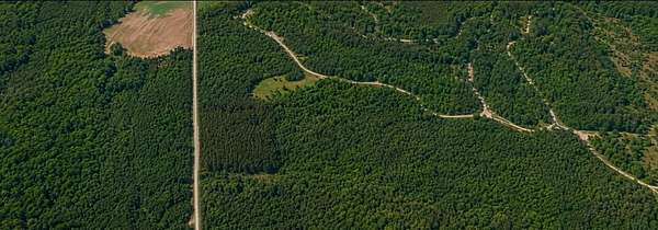 29.4 Acres of Recreational & Residential Land for Sale in Holladay, Tennessee