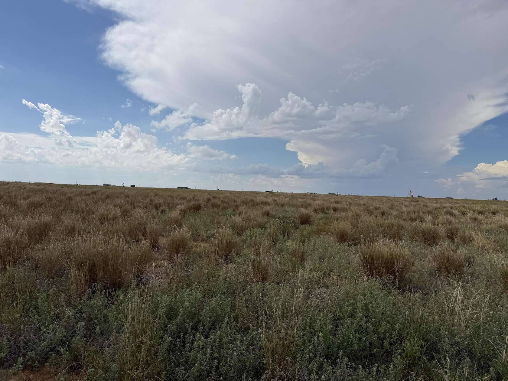 17 Acres of Land for Sale in Slaton, Texas
