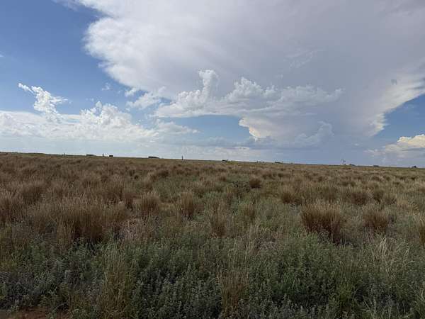 17 Acres of Land for Sale in Slaton, Texas