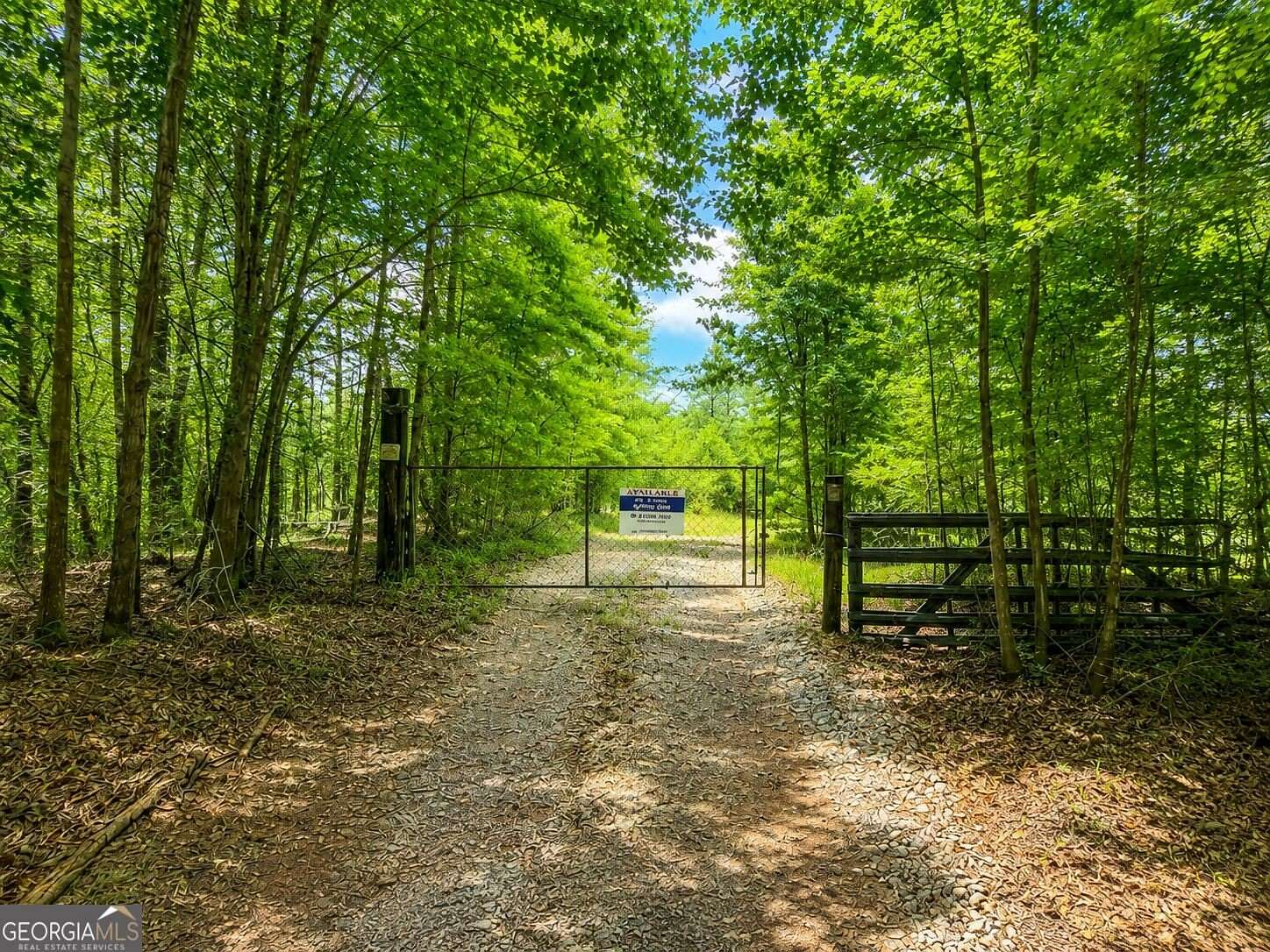 21.4 Acres of Land for Sale in Madison, Georgia