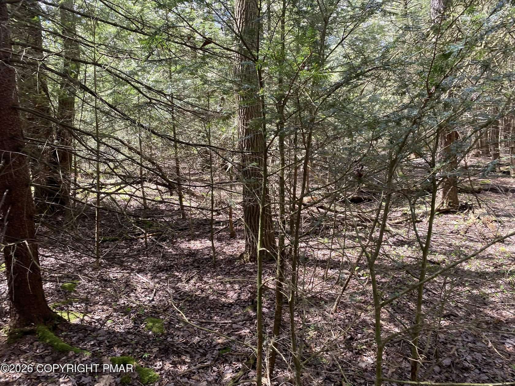 0.25 Acres of Residential Land for Sale in Pocono Summit, Pennsylvania
