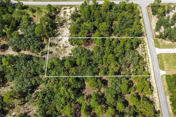 Land for Sale in Dunnellon, Florida