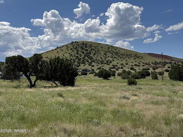0.23 Acres of Residential Land for Sale in Concho, Arizona