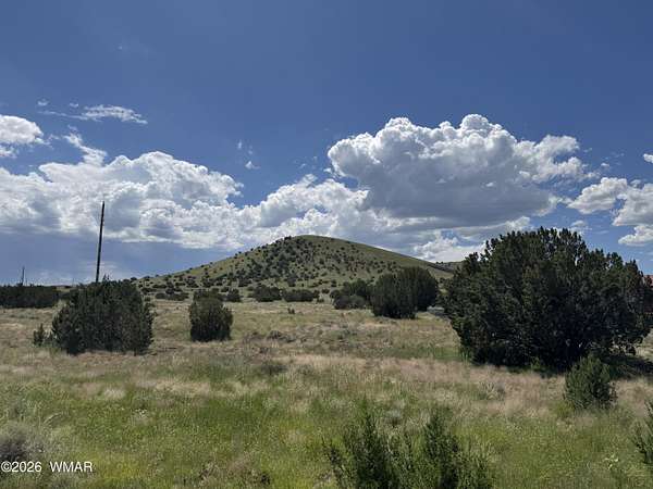 0.24 Acres of Residential Land for Sale in Concho, Arizona