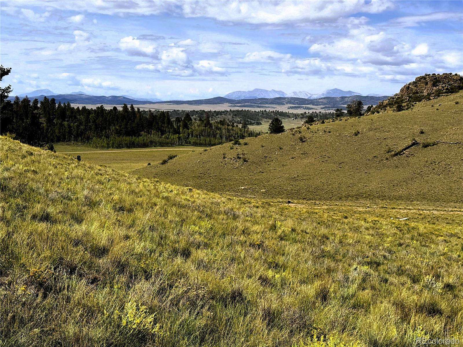 5 Acres of Residential Land for Sale in Hartsel, Colorado