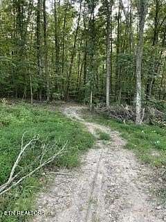 2 Acres of Residential Land for Sale in Powell, Tennessee