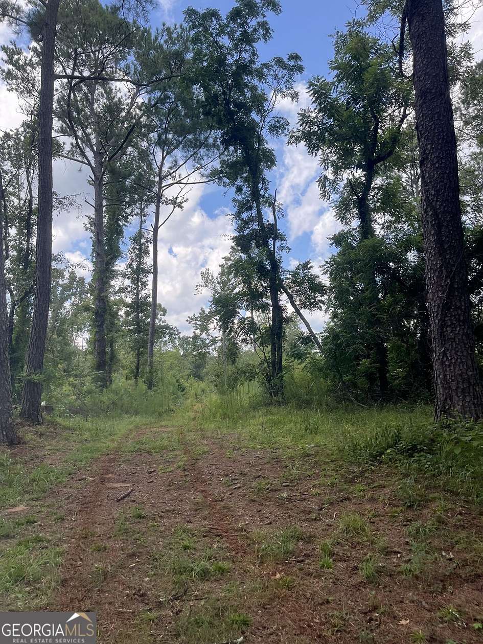 137 Acres of Recreational Land for Sale in Woodland, Georgia