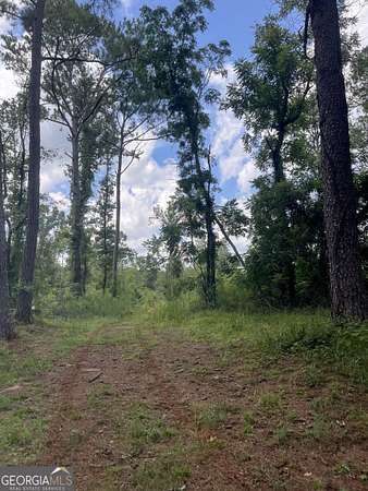 137 Acres of Recreational Land for Sale in Woodland, Georgia