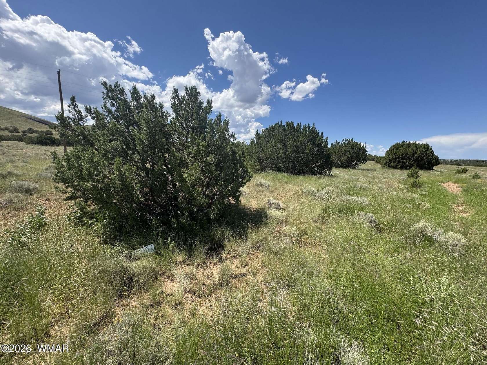 0.24 Acres of Residential Land for Sale in Concho, Arizona