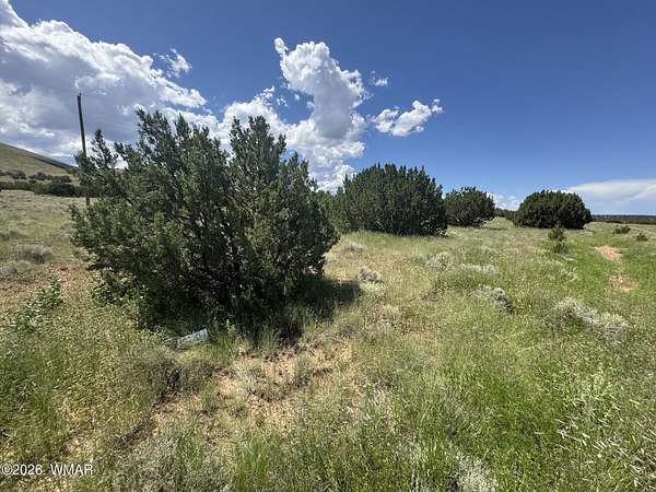 0.24 Acres of Residential Land for Sale in Concho, Arizona