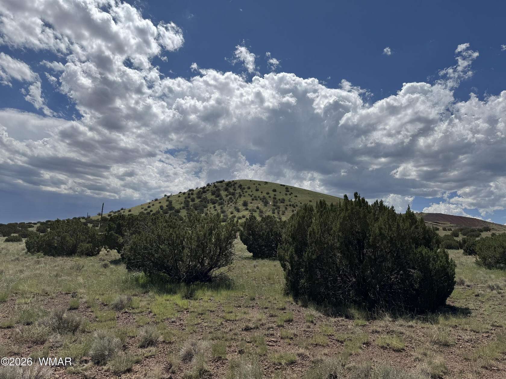 0.24 Acres of Residential Land for Sale in Concho, Arizona