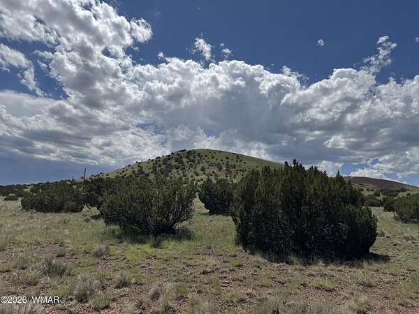 0.24 Acres of Residential Land for Sale in Concho, Arizona
