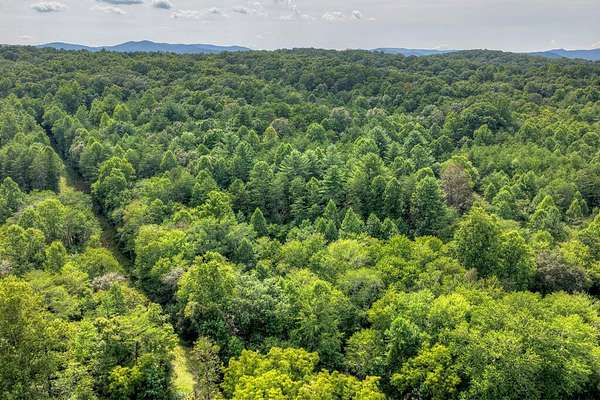 4.7 Acres of Land for Sale in Blue Ridge, Georgia