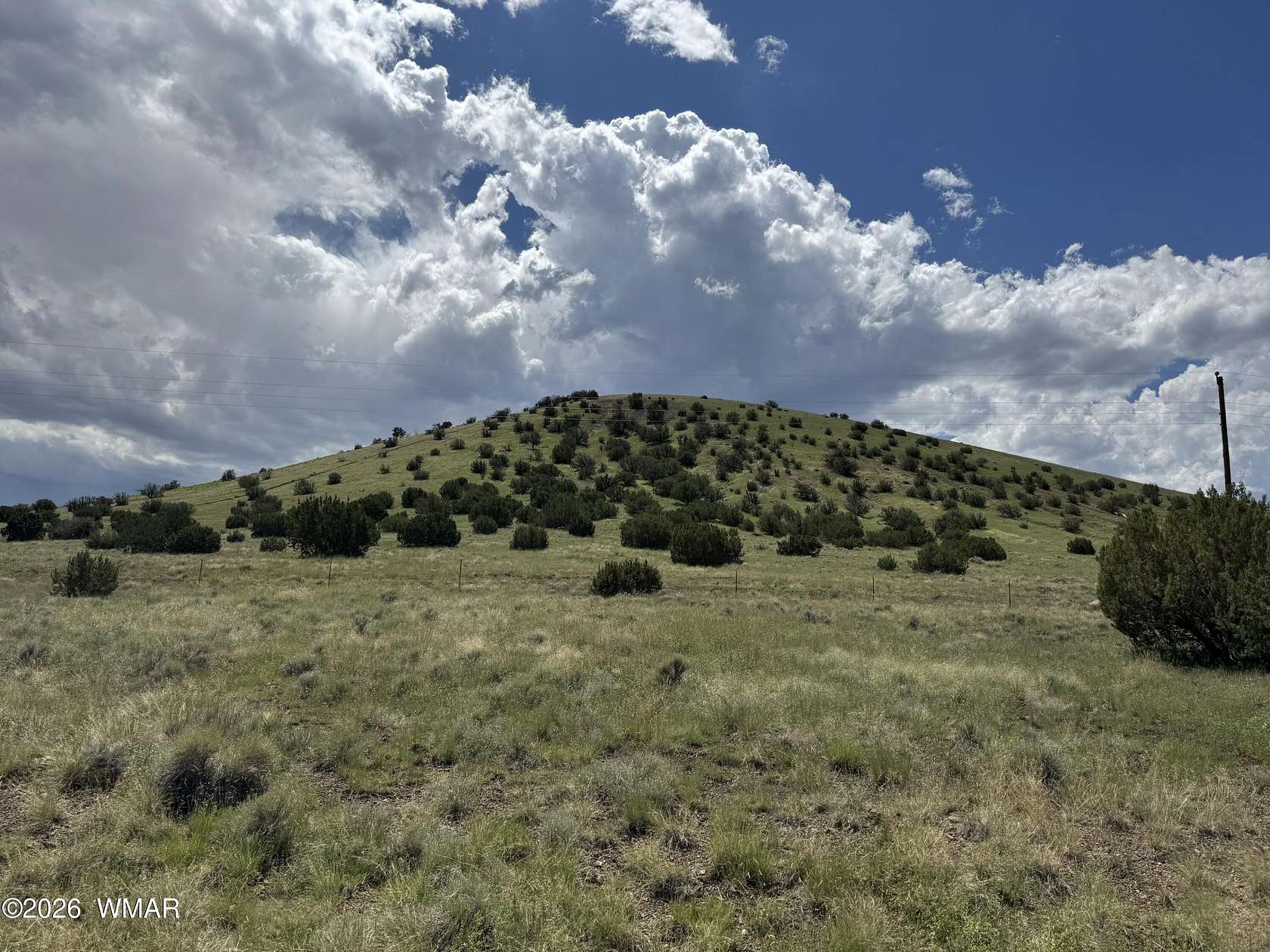 0.24 Acres of Residential Land for Sale in Concho, Arizona