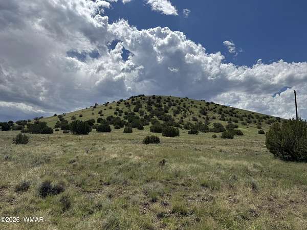 0.24 Acres of Residential Land for Sale in Concho, Arizona