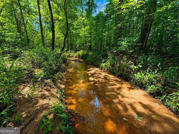 29 Acres of Land for Sale in Madison, Georgia