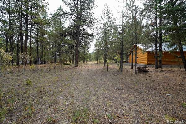 1 Acre of Residential Land for Sale in Antonito, Colorado