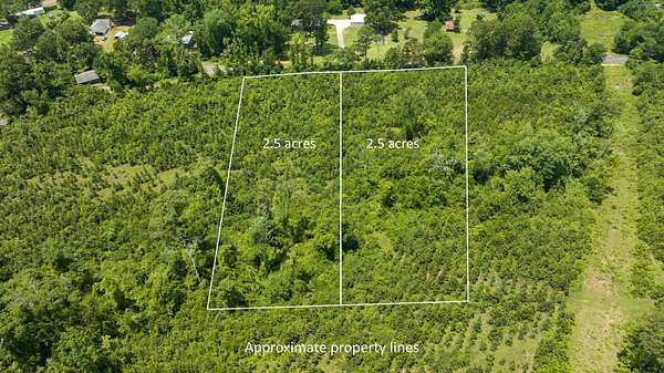 2.5 Acres of Residential Land for Sale in Diana, Texas