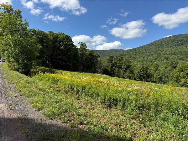 5.34 Acres of Residential Land for Sale in Roxbury, New York