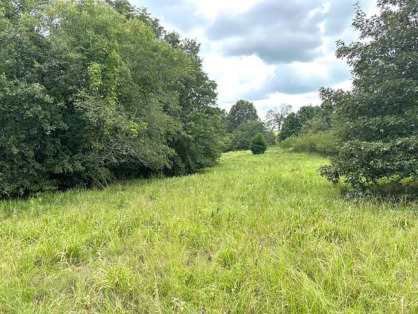65 Acres of Recreational & Residential Land for Sale in Antlers, Oklahoma
