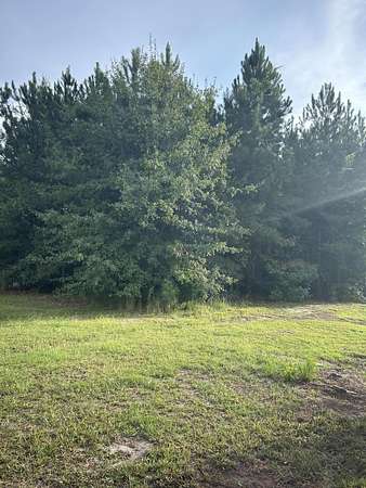 1 Acre of Residential Land for Sale in Sumter, South Carolina