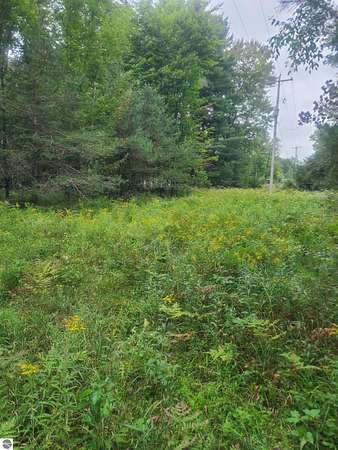 1.8 Acres of Residential Land for Sale in Whittemore, Michigan