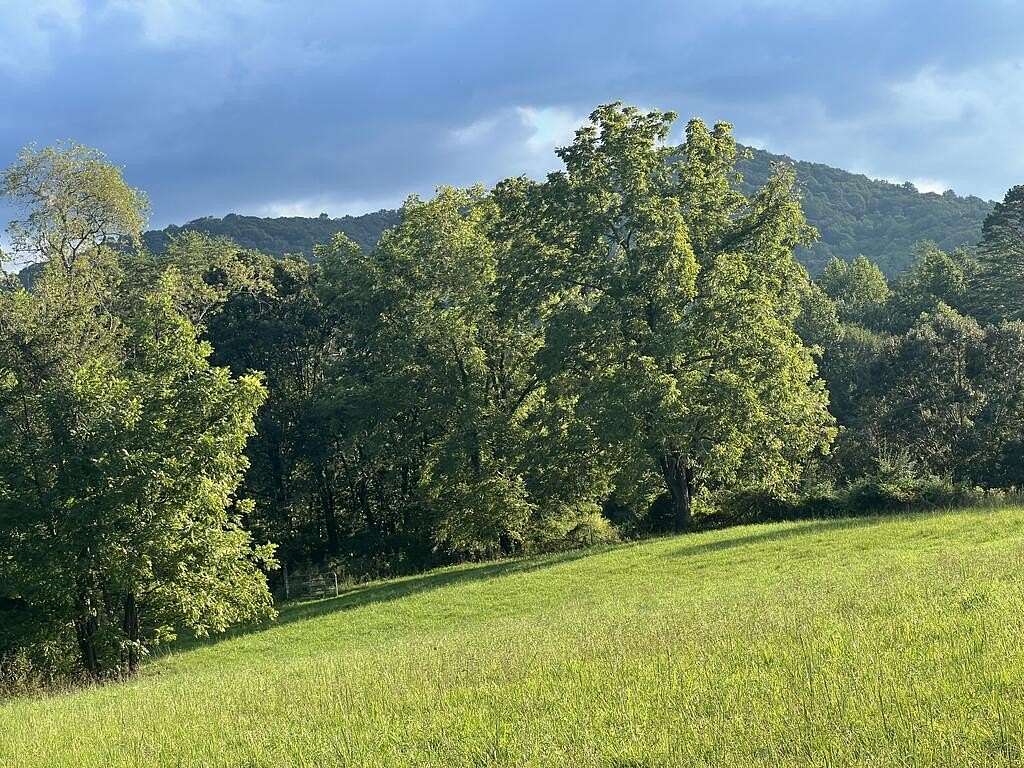 5.8 Acres of Residential Land for Sale in Blue Ridge, Georgia