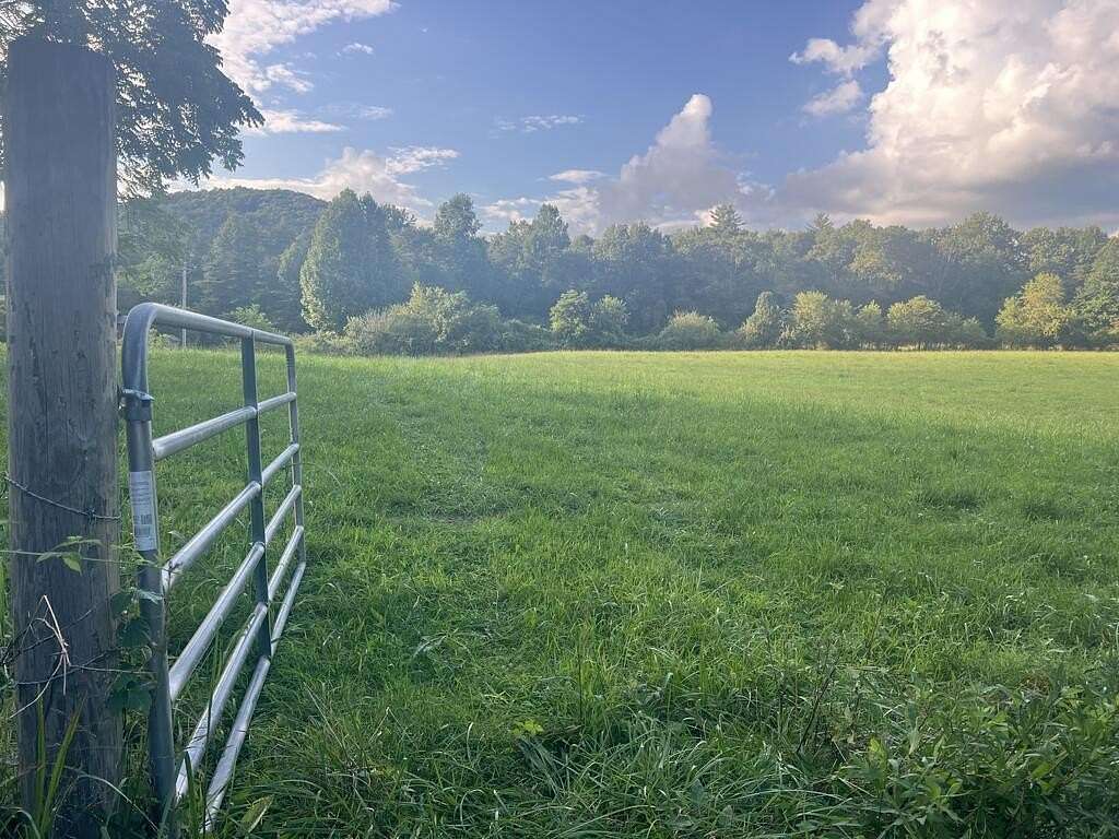 2 Acres of Residential Land for Sale in Blue Ridge, Georgia