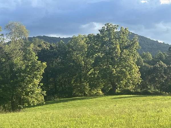5.8 Acres of Residential Land for Sale in Blue Ridge, Georgia