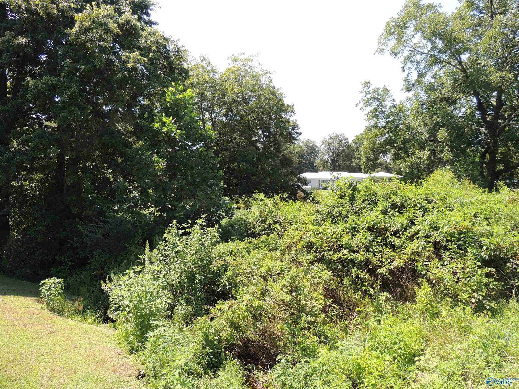 0.51 Acres of Land for Sale in Crossville, Alabama